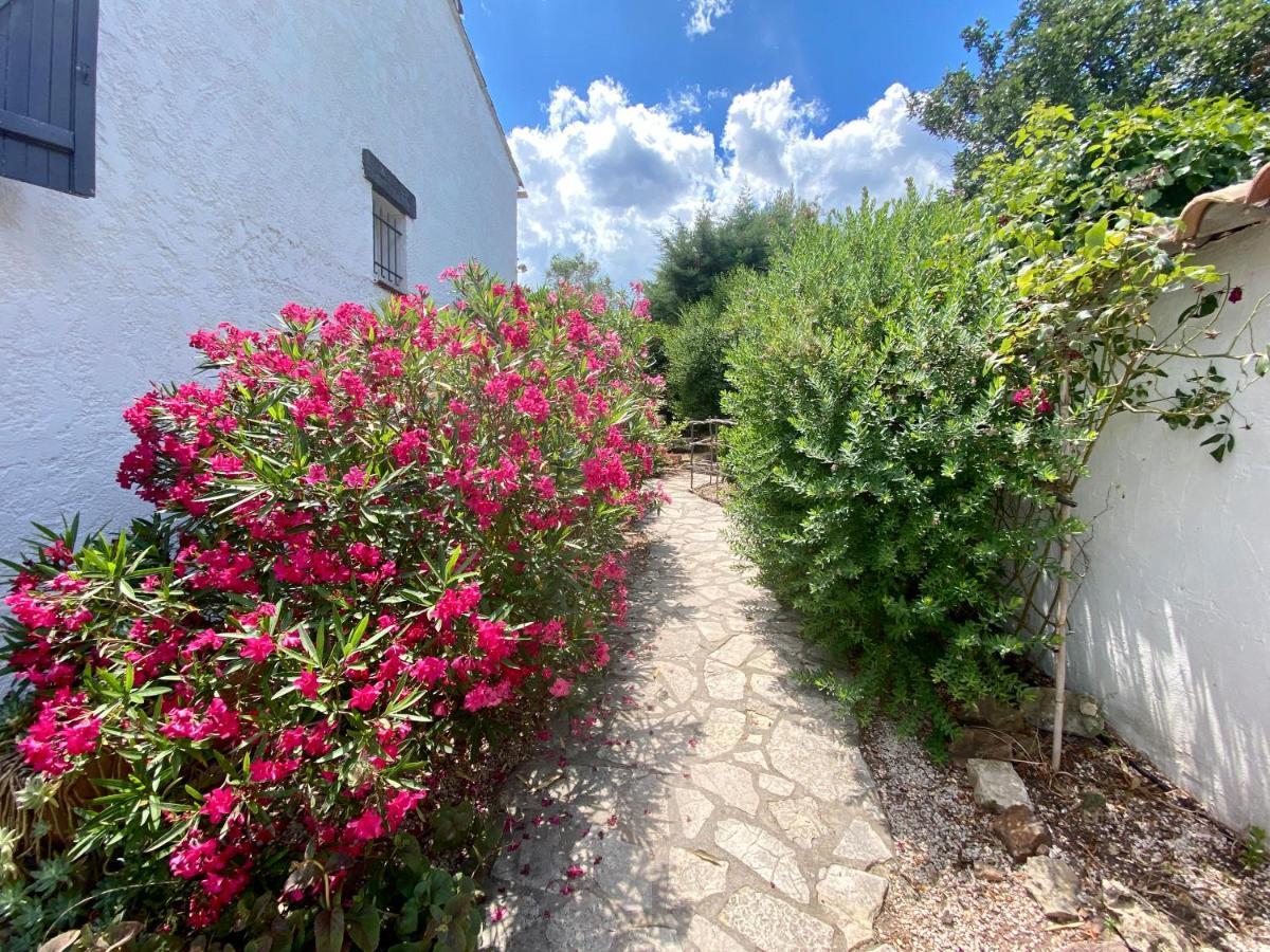 Chambres D'Hotes Le Mas Du Bijou Bleu Puget-sur Argens Exteriör bild