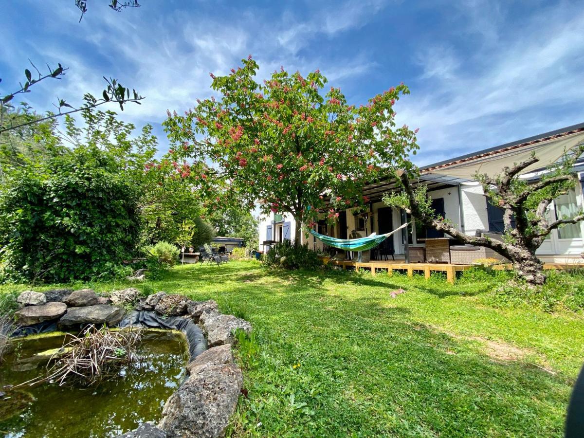Chambres D'Hotes Le Mas Du Bijou Bleu Puget-sur Argens Exteriör bild