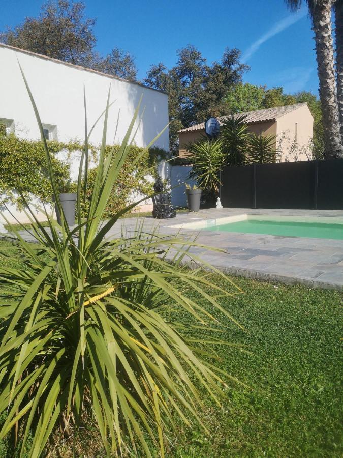 Chambres D'Hotes Le Mas Du Bijou Bleu Puget-sur Argens Exteriör bild