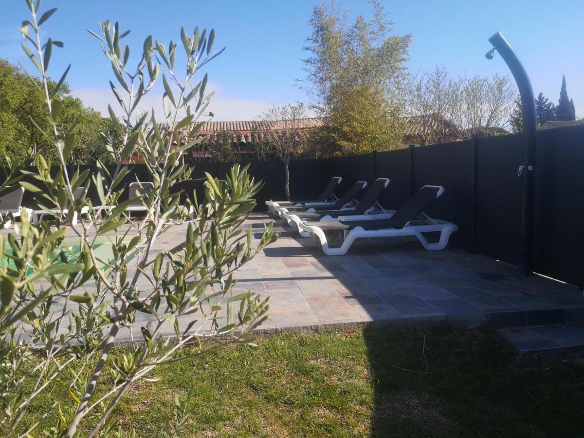 Chambres D'Hotes Le Mas Du Bijou Bleu Puget-sur Argens Exteriör bild