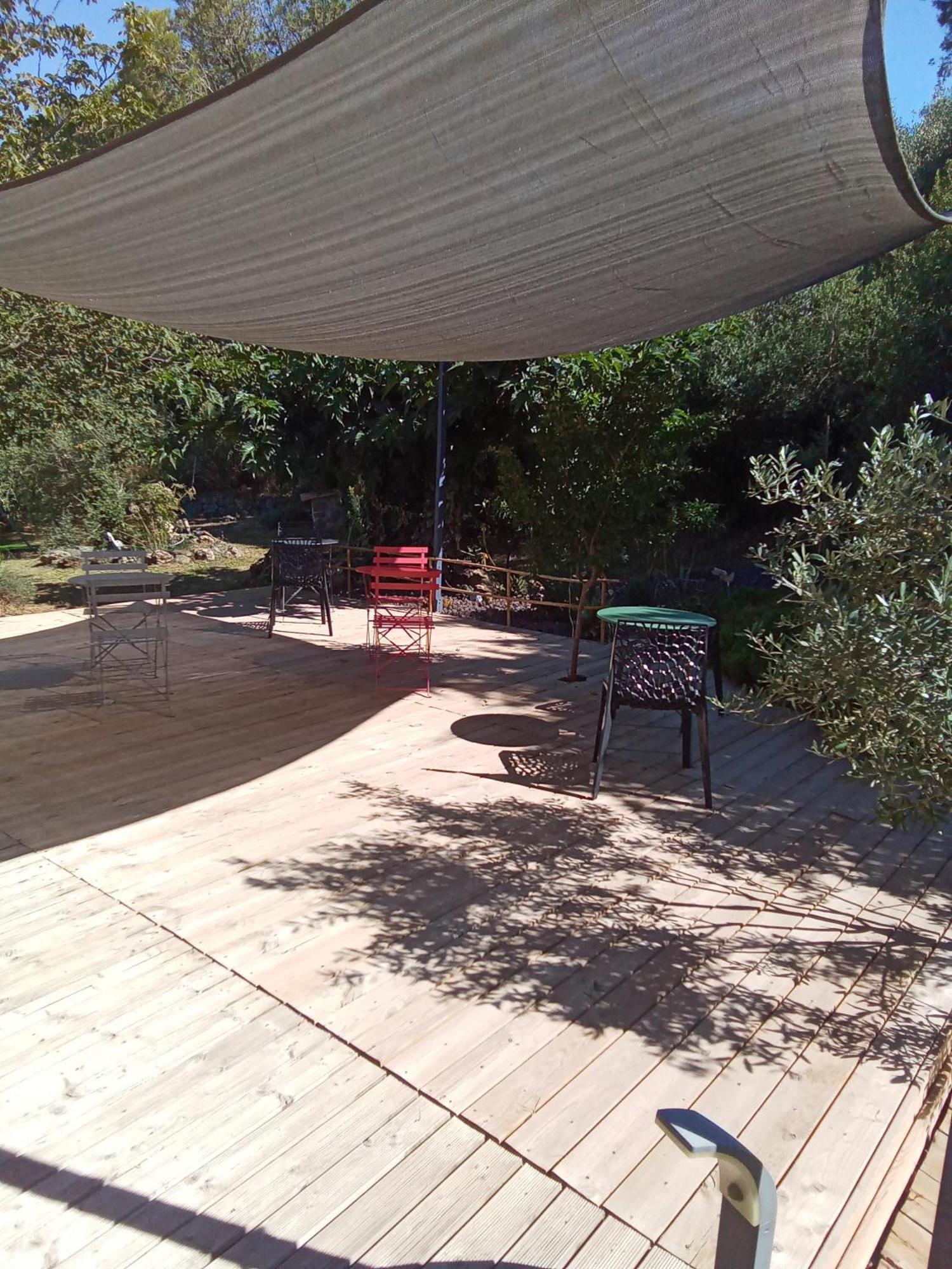 Chambres D'Hotes Le Mas Du Bijou Bleu Puget-sur Argens Exteriör bild