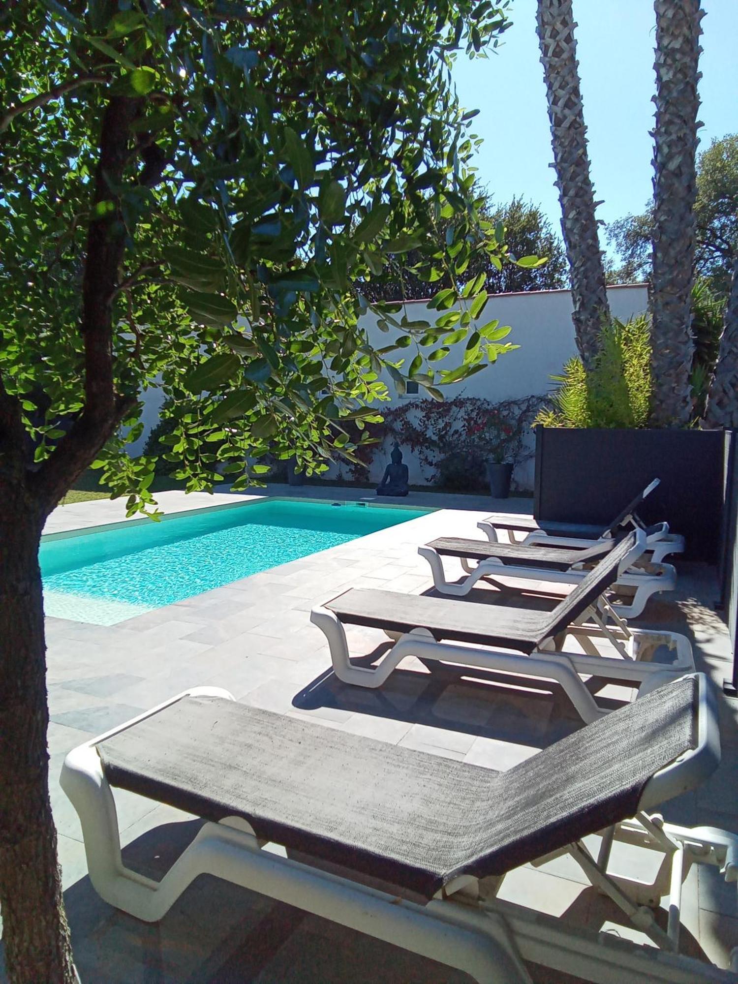 Chambres D'Hotes Le Mas Du Bijou Bleu Puget-sur Argens Exteriör bild