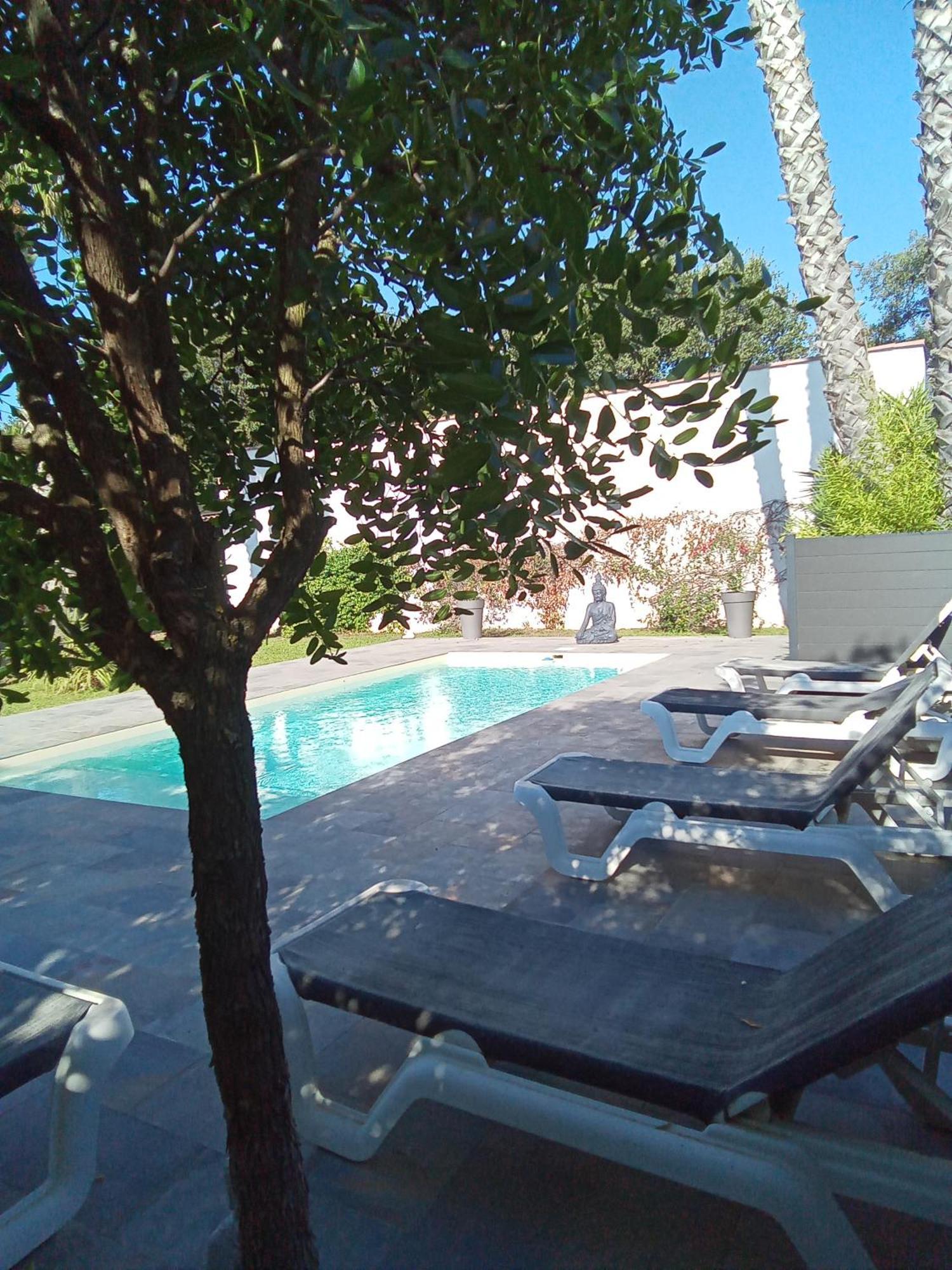 Chambres D'Hotes Le Mas Du Bijou Bleu Puget-sur Argens Exteriör bild