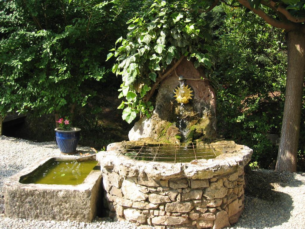 Chambres D'Hotes Le Mas Du Bijou Bleu Puget-sur Argens Exteriör bild